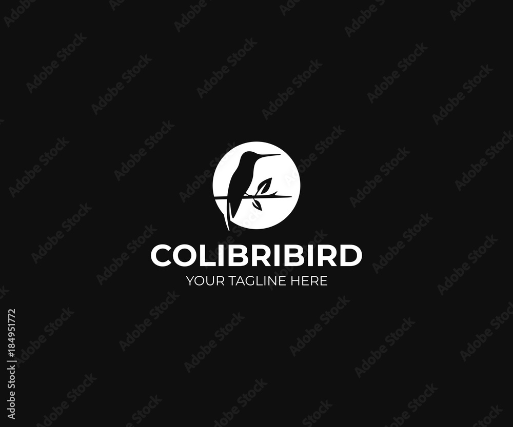 Hummingbird Logo Template. Colibri and Moon Vector Design. Bird Illustration Hummingbird Logo Template. Colibri and Moon Vector Design. Bird Illustration