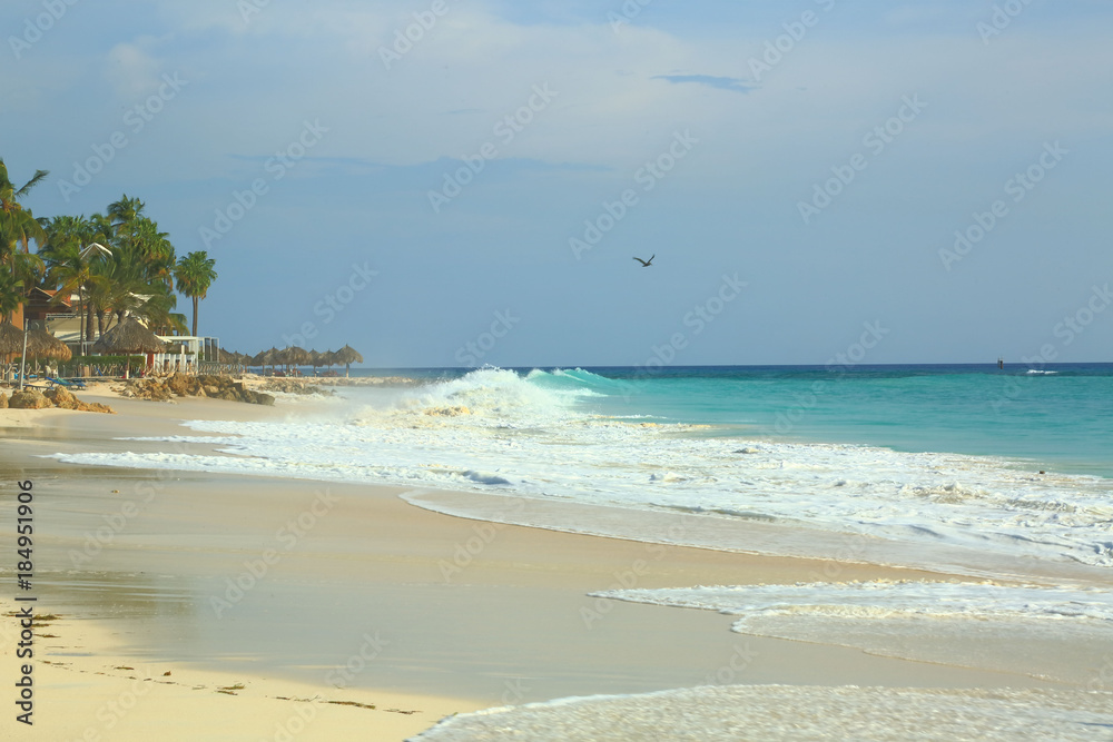 Amazing beauty white sand beach of Aruba Island. Turquoise sea water and blue sky. Beautiful background.