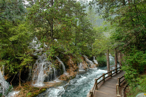 The wooden hiking path runs along Pearl Shoal Falls  Jiuzhaigou National Park  Sichuan  China