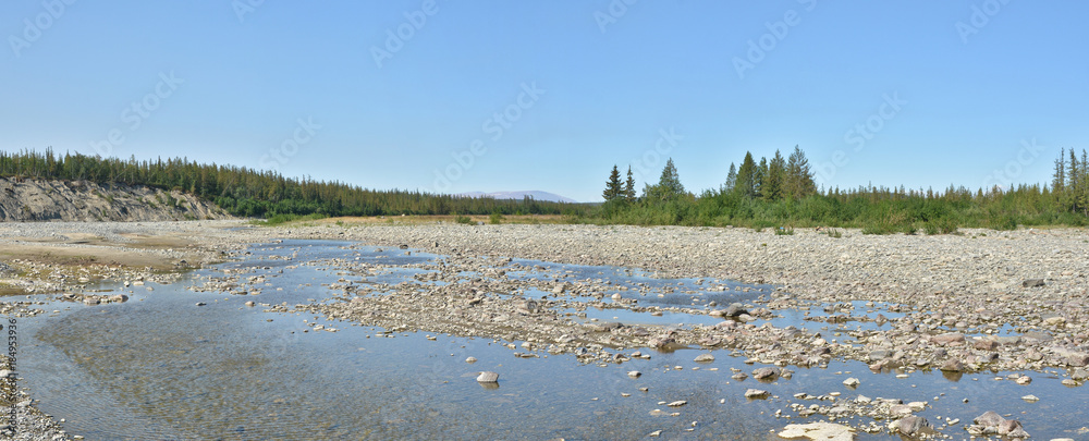 Summer panorama of the taiga river in the Polar Urals.