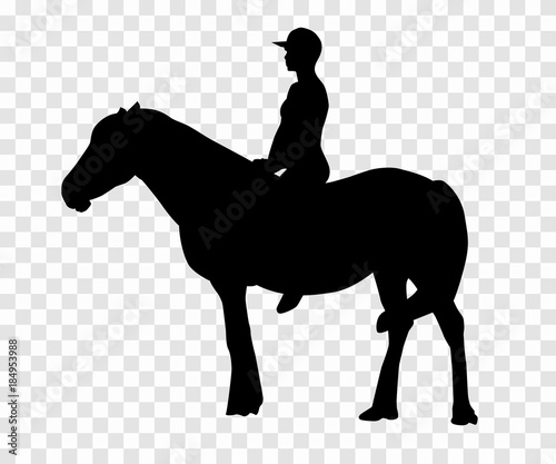 Sticker to car silhouette rider on horse. Expert in dressage of 