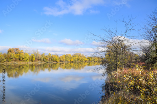 Autumn landscape. River and river bank with yellow trees. Willow and poplar on the river bank. © eleonimages