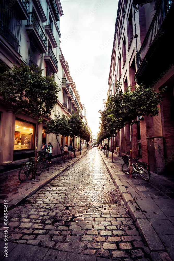 Sevilla Cobblestone Alley