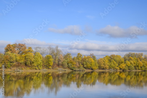 Autumn landscape. River and river bank with yellow trees. Willow and poplar on the river bank. © eleonimages