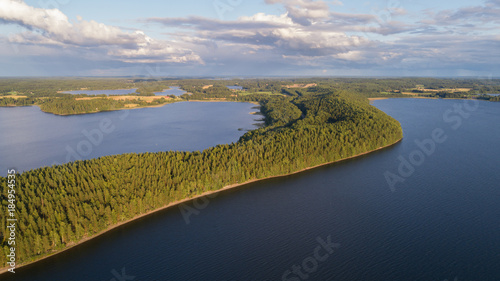 Aerial view of lake and forest at summer photo