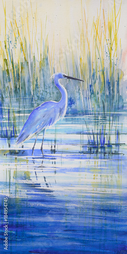 Blue heron on the lake shor...