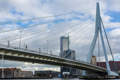 Erasmus Bridge in Rotterdam