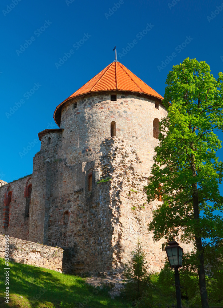 medieval baltic castle