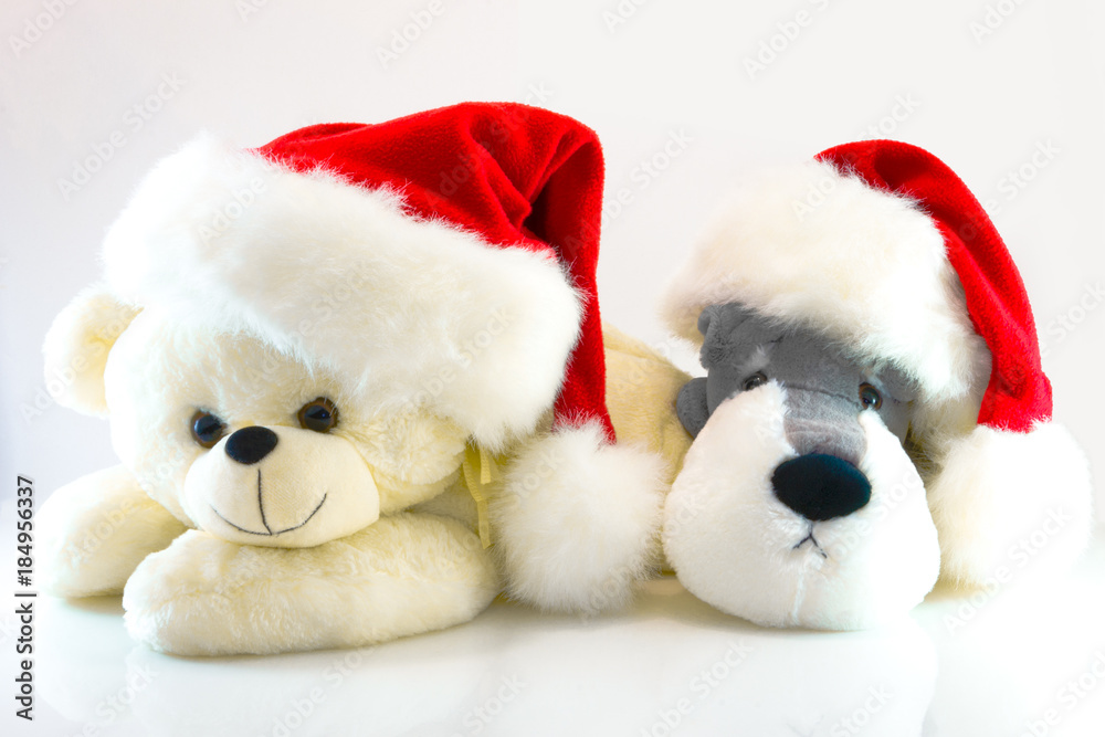 plush toys bear and dog isolated on white background. This has clipping path. plush toys bear and dog isolated on white background. This has clipping path.