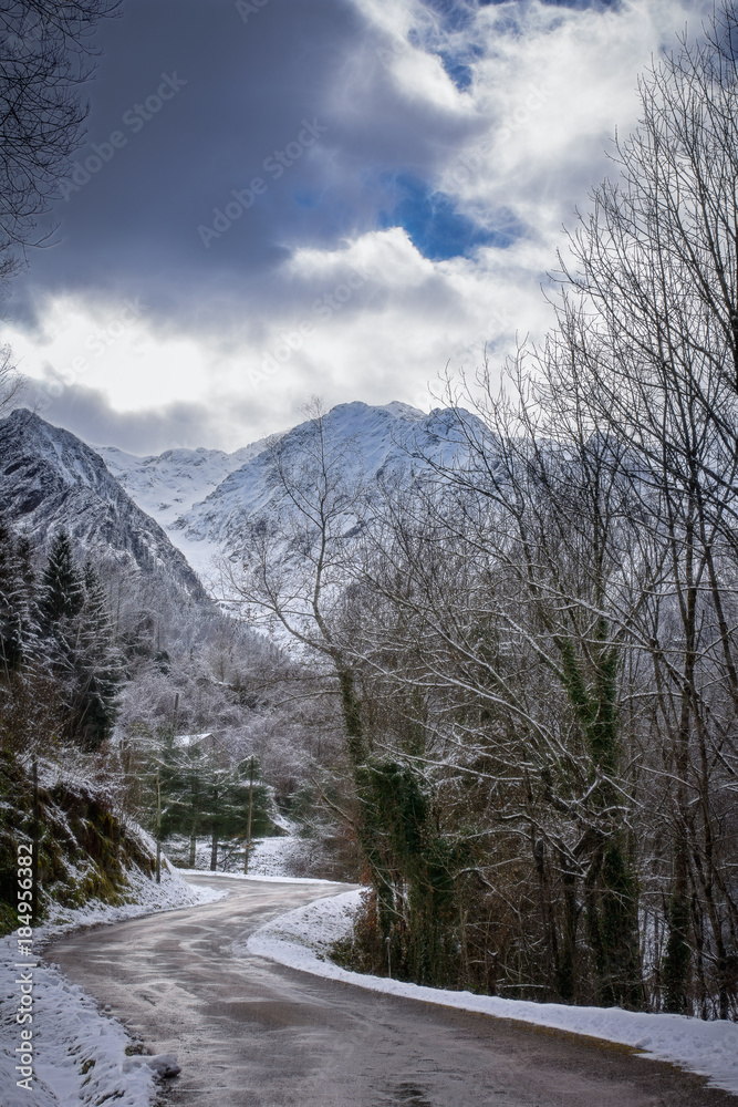 route de montagne en hiver