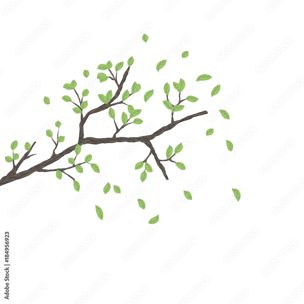 Fototapeta Tree branch with green leaves over white background. Vector graphics.