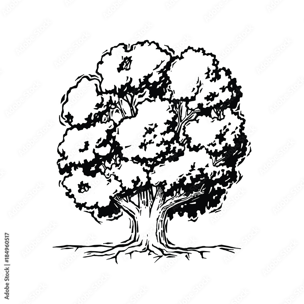 Obraz premium Tree 
