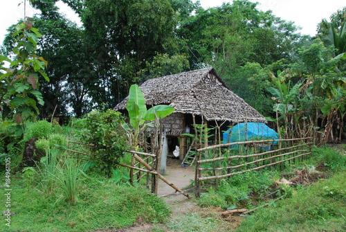Maison birmane typique