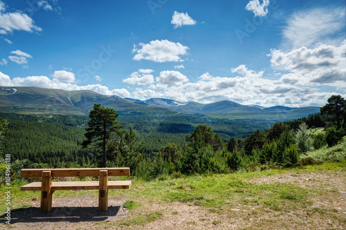 Fototapeta Naklejka Na Ścianę i Meble -  Cairngorms National Park Glenmore Forest Park United Kingdom