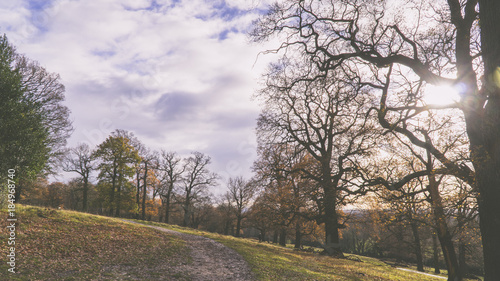 Richmond Park - London