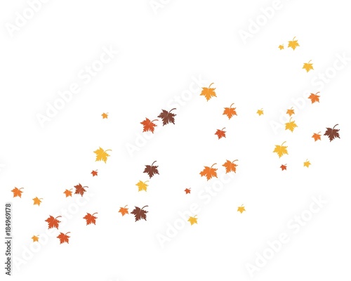 oak leaf icon vector design