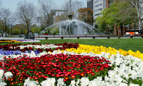 hokkaido sapporo odori park