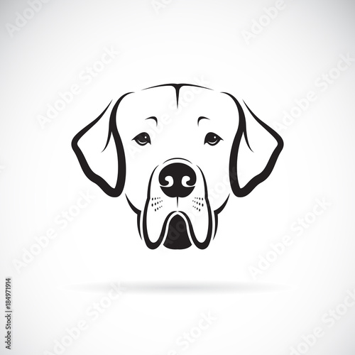 Vector of Great Dane dog head on white background. Pet. Animals. Dog Icon.