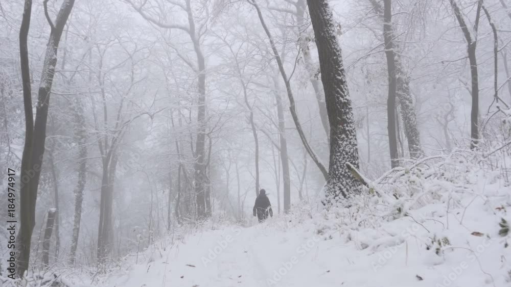 Follow shot of unrecognizable female hiker walking through beautiful snow covered foggy, misty forest. Follow shot of unrecognizable female hiker walking through beautiful snow covered foggy, misty forest.