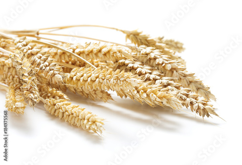 Fotografie sheaf of ripe wheat ears isolated on white background