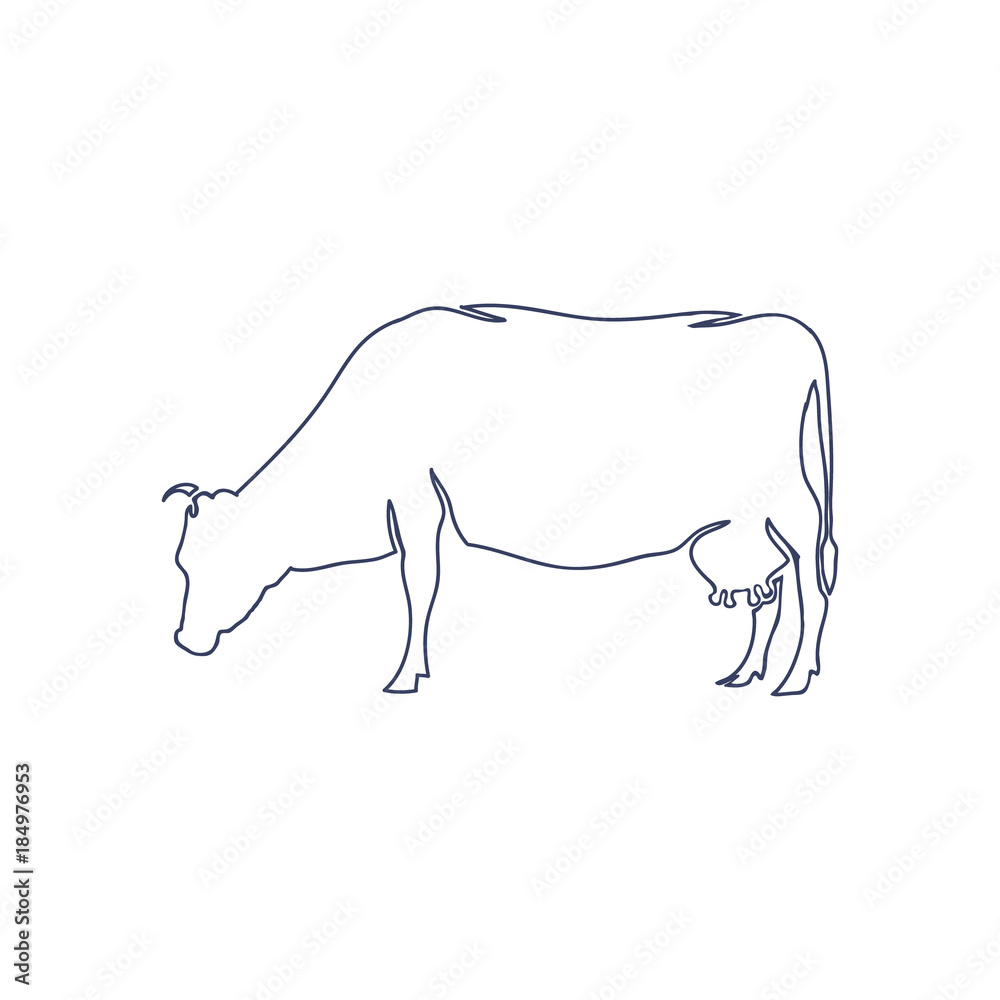 Hand Drawn Cow Isolated on White background. Vector Hand Drawn Cow Isolated on White background. Vector