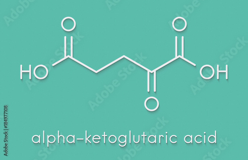 Alpha-ketoglutaric acid (ketoglutarate, oxo-glutarate). Intermediate molecule in the Krebs cycle. Found to prolong lifespan (in nematodes). Skeletal formula. photo