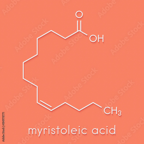 Myristoleic acid (omega-5) fatty acid molecule. Skeletal formula. photo
