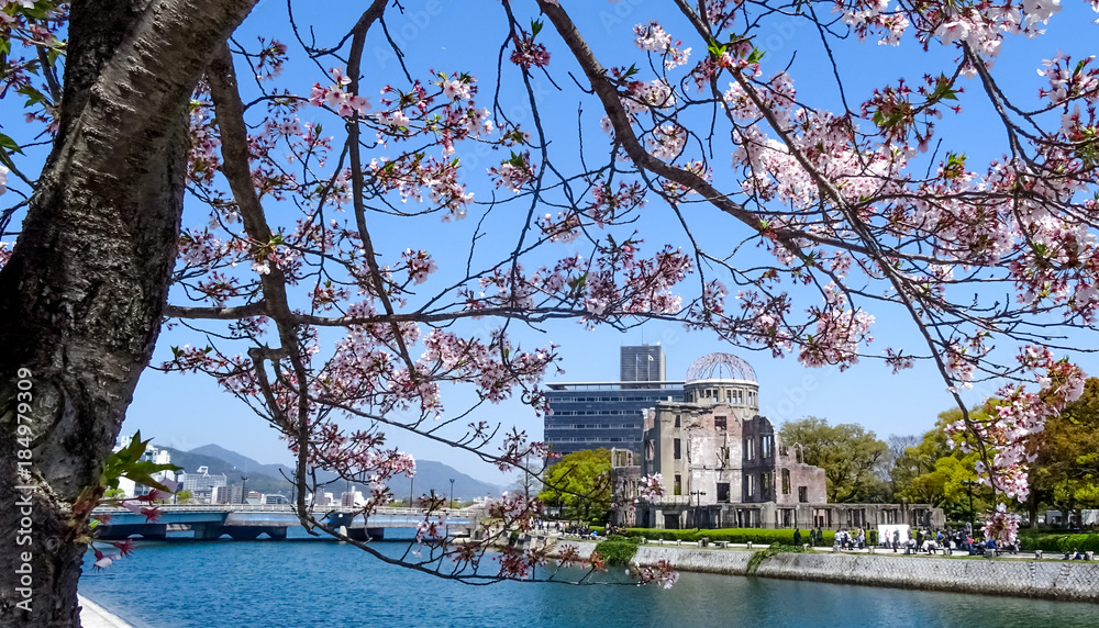 Obraz premium 広島、世界遺産、平和公園、原爆ドーム、春、桜の咲く頃