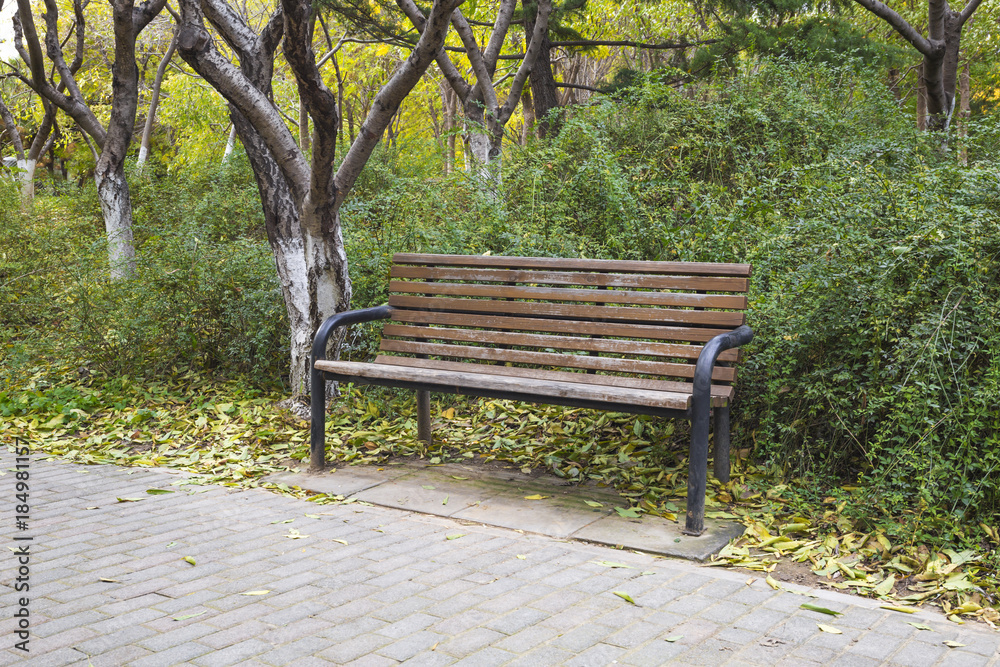 A bench in city park at Fall, Autumn leaves.
