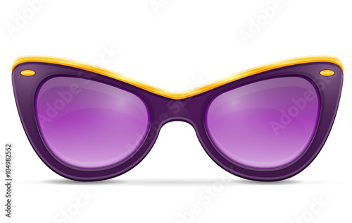 sunglasses for women in plastic frames stock vector illustration