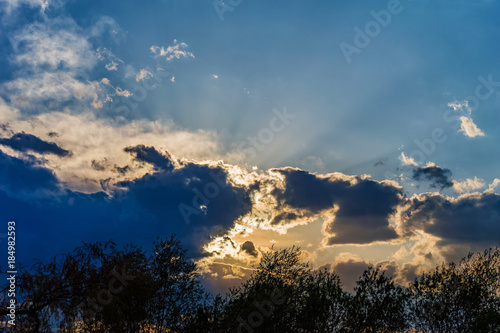 trees silhouetted against the evening sky, sunlight streaming through dramatic clouds