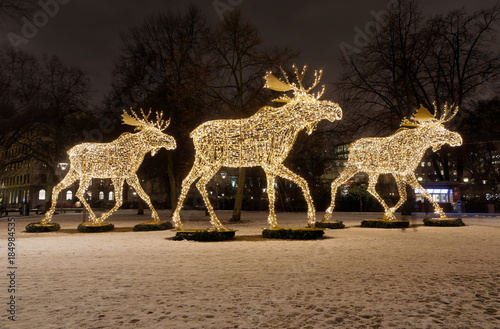 Photography Gigantic elk or moose christmas decoration made of led light