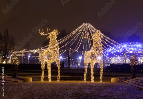 Gigantic reindeers christmas decoration made of led light photo