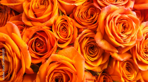 Beautiful orange roses bouquet background