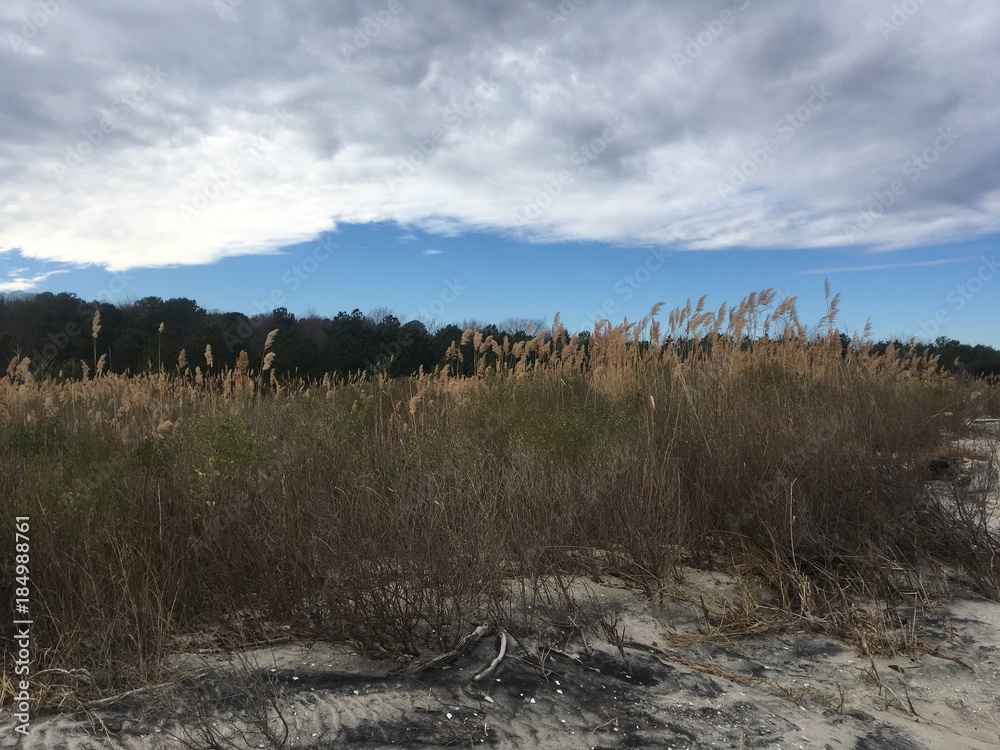 sand dunes and dramatic clouds over Chesapeake Bay in December