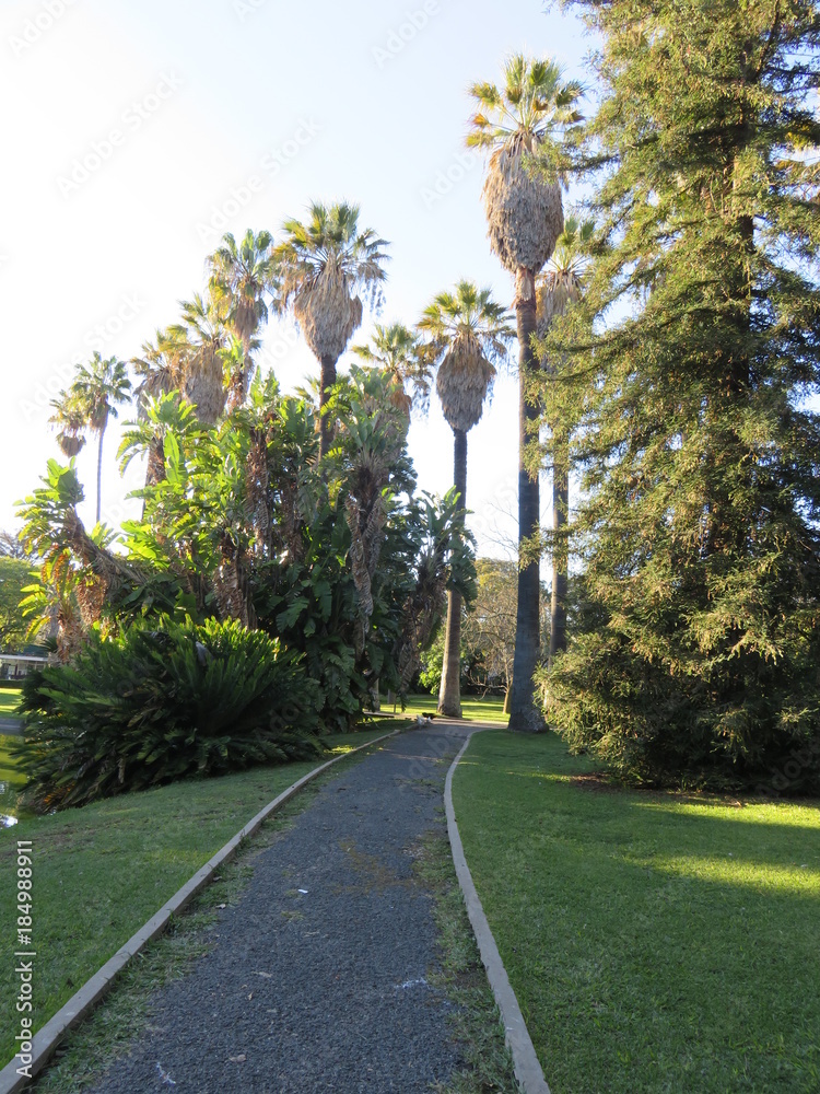 Allée dans le parc 