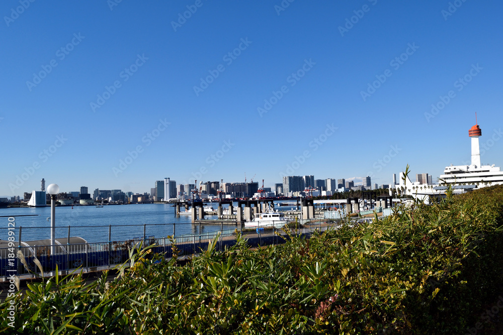 Fototapeta premium 青海 港湾と高層ビル群
