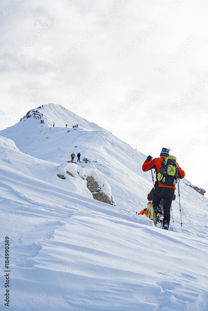 Trekking sulle alpi