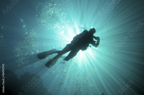 In the light