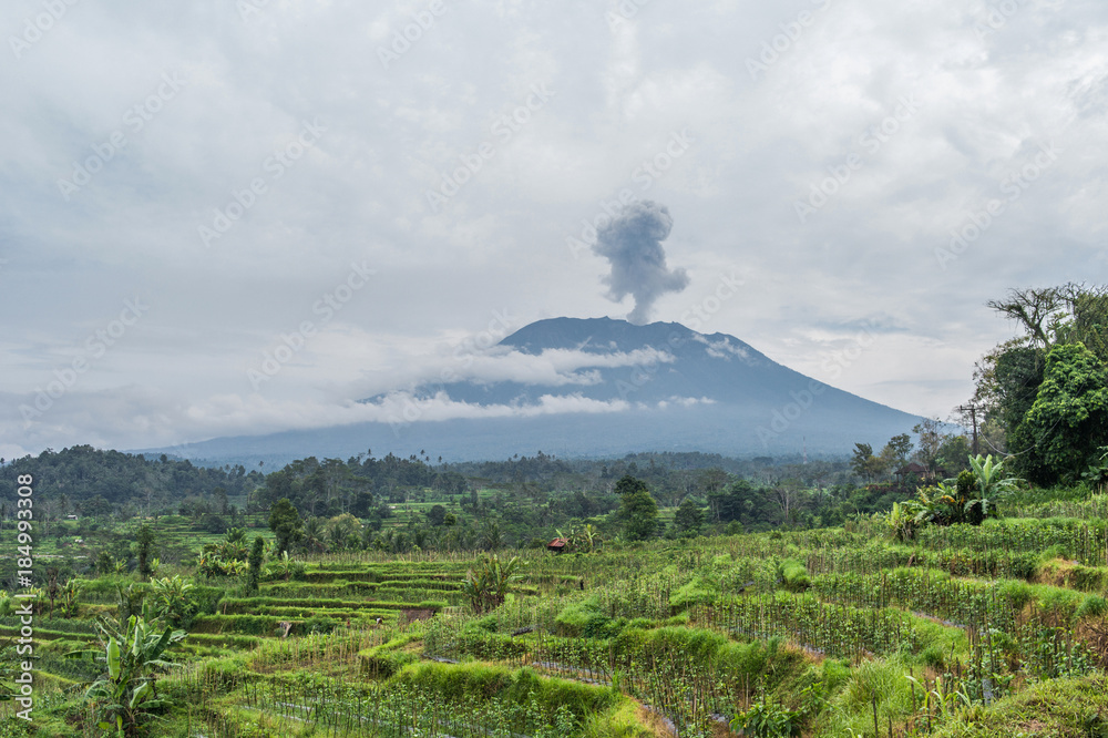 Agung volcano eruption view near rice fields, Bali, Indonesia Agung volcano eruption view near rice fields, Bali, Indonesia