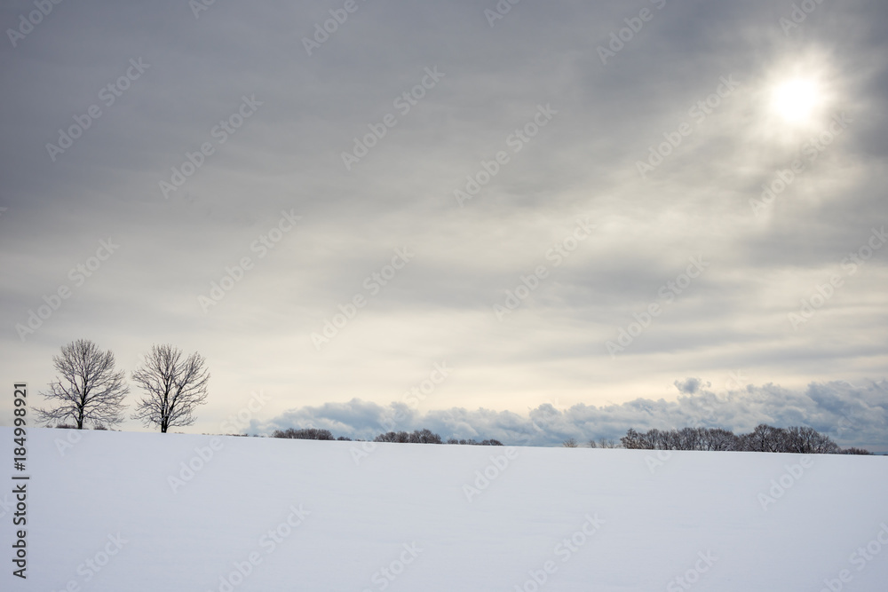 北海道　雪原と太陽