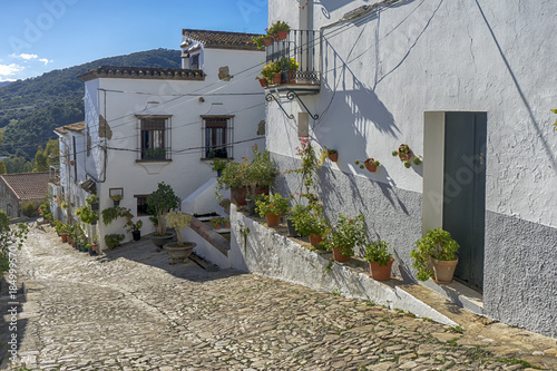 Calle del municipio rural de jimena de la frontera, Cadiz photo
