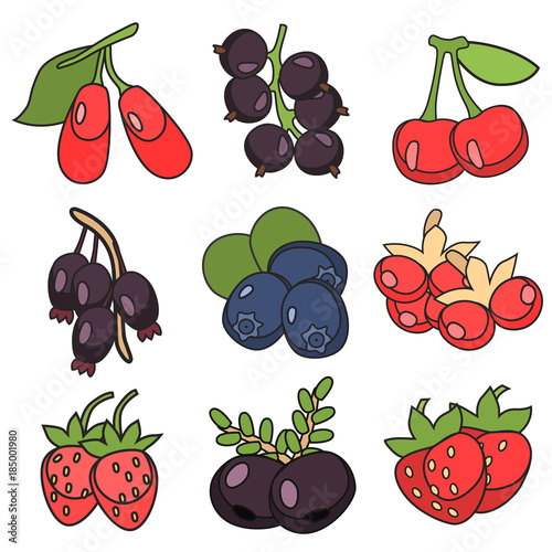 berries flat icon set