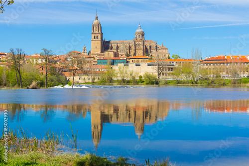 View of the cathedral of Salamanca reflected in the river, spain