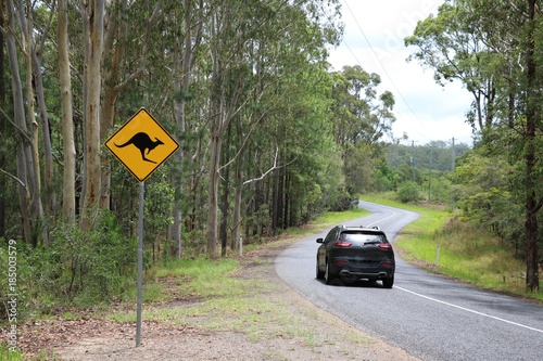 Road sign beware kangaroo on the roadside, Australia