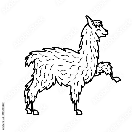 Vector illustration. Cute character lama