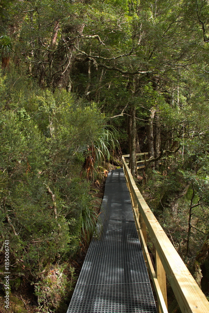 Obraz premium Dove Lake Circuit in Cradle Mountain NP in Tasmania