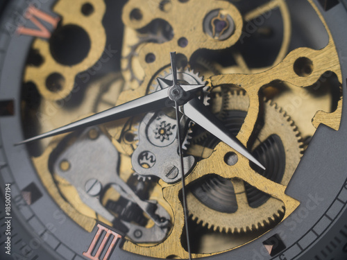 Mechanical skeleton watch with visible gears