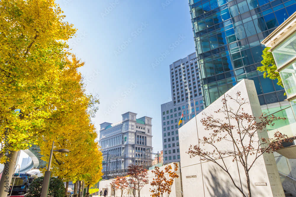 Obraz premium 秋の汐留