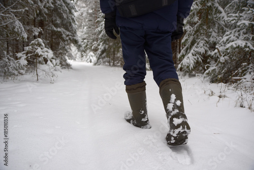 Walk through the snow-covered forest